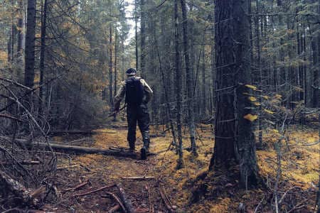 Купить диплом Егеря, лесника в Волгодонске